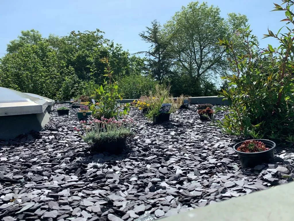 PLUM SLATE CHIPPINGS 40mm DECORATIVE STONE AGGREGATES