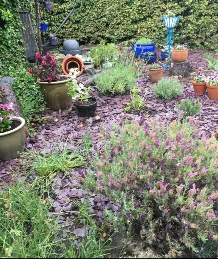 PLUM SLATE CHIPPINGS 40mm DECORATIVE STONE AGGREGATES