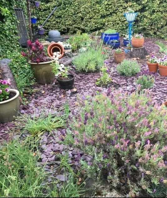 PLUM SLATE CHIPPINGS 40mm DECORATIVE STONE AGGREGATES