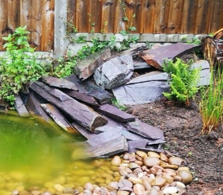 Plum / Purple Snowdonia Slate Rockery