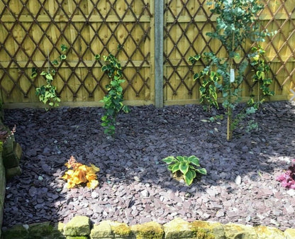 PLUM SLATE CHIPPINGS 40mm DECORATIVE STONE AGGREGATES