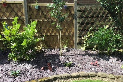 PLUM SLATE CHIPPINGS 40mm DECORATIVE STONE AGGREGATES