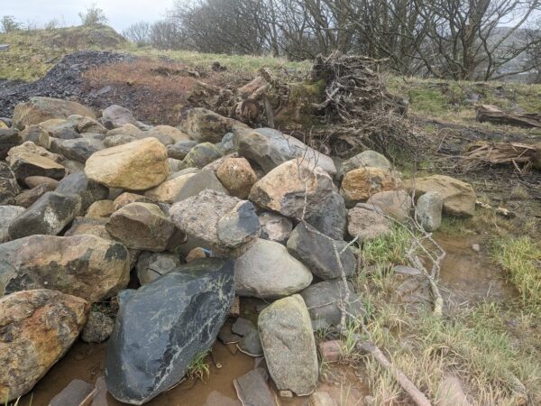 Large Glacial Boulders for Garden Features, Rockery Features, Water Features - Image 7