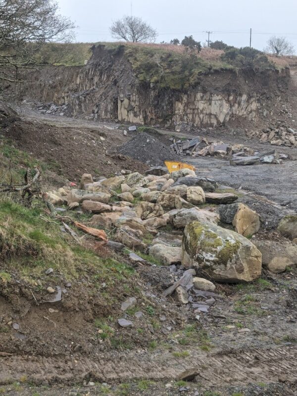 Large Glacial Boulders for Garden Features, Rockery Features, Water Features - Image 4
